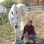 Jackie Brenner - @jackielbrenner - Instagram