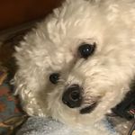 Jackie Brenner Berger - @jacquelinebb58 - Instagram