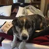 jackiebright36 - @jackie.bright3 - TikTok