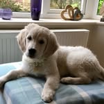 Jackie Browning - @jackie.browning.5836 - Instagram