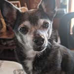Jackie Bucci - @jbaustintx - Instagram