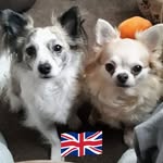 Jackie Buckingham - @jackiebuckingham4 - Instagram