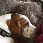 Jackie Budd - @buddjac - Instagram
