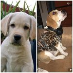@jackie_buddy0101 - Instagram