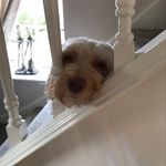 Jackie Cross - @jackie_buddys - Instagram