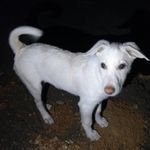 Jackie - @jackie_buddie - Instagram
