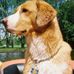Jack Bumstead - Facebook