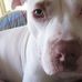 Jake Bumstead - Facebook