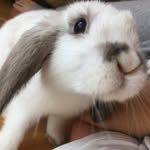 Jackie - @jackiebunny - Instagram