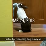 jacuelinel - @jackie_bunnylife - Instagram