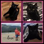 Jackie Buol - @wisconsingirlhawaii4ever - Instagram