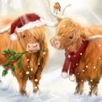 Jackie Burrell - Facebook