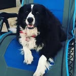 Jackie Hall Burrell - @mammab3 - Instagram