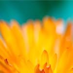 Jackie Burris - @burris.jackie - Instagram