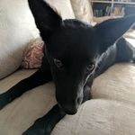 Jackie Burrows - @jackiebur - Instagram