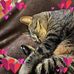 Jackie Burt - Facebook