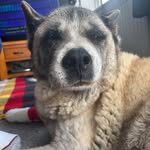 Jackie Butterworth - @butterworth.jackie - Instagram