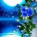 Jackie Button - Facebook