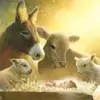 Jackie Bye Bladl - @jackie.bye.bladl - TikTok