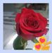 Jacqueline Cadena - Facebook
