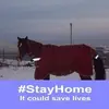 Jackie Calvert - @jackie.calvert - TikTok