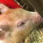 Jackie Fritts Capps - @jcapps1226 - Instagram