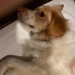 Jackie Cartwright - @jaxcart - Instagram
