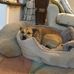 Jackie Cartwright - Facebook