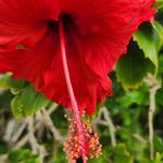 Jackie Mann Cavanaugh - @jackie.m.warner.3 - Instagram
