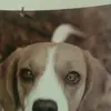 Jackie Chandler - @jackiechandler0 - TikTok