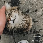 Jackie charles - @jackiecharles95 - Instagram