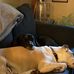Jackie Cheney - Facebook