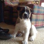 Jack Chenoweth Sr - @jack.chenoweth.5 - Instagram