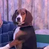 jackie - @jackiecherryy - TikTok