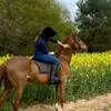 Jackiethechestnutmare - @jackiesnewlifeofthetrack - TikTok