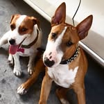 Jackie & Chico Romero - @jacky_and_chico - Instagram
