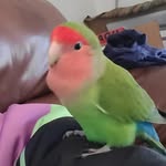 Kiki's so cute! - @jackiechild - Instagram