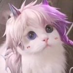 Jackie Chong - @jackie.chong.9655 - Instagram