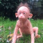 Jackie Chong - @jackie_chong_yes_ - Instagram