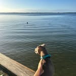 Jackie Christensen - @pibbles_pilot_car_llc - Instagram