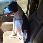 Jackie Christensen Nichols - @jackie.c.nichol - Instagram