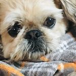 Jackie Chui - @111jacs111 - Instagram
