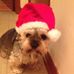 Jackie Glaser - Facebook