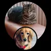 jackiecausier7 - @jackiecausier7 - TikTok