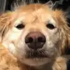 jackie cleary - @user1072693087882 - TikTok