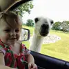 jackieclements203 - @jackieclements203 - TikTok