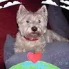 Jackie Coles - @jackie.coles - TikTok