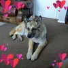 jackiecoles262 - @jackiecoles262 - TikTok