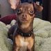 Jackie Collazo - Facebook