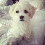 Jackie Collier - @jackie_collier - Instagram